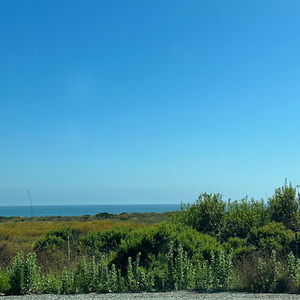 Meet your Posher, Corina